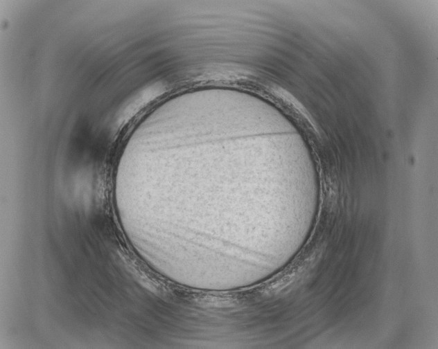 X0000081570874200701291212