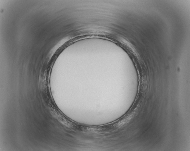 X0000081570875200701291212