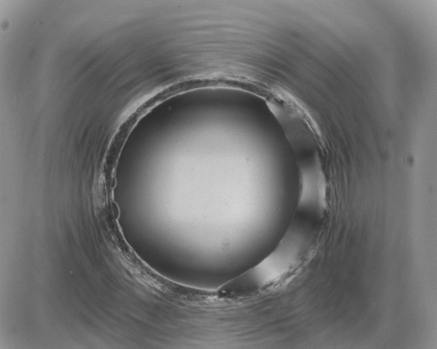 X0000081570876200701291212