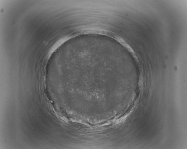 X0000081570877200701291212