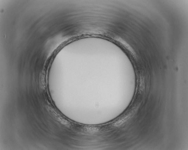 X0000081570878200701291212