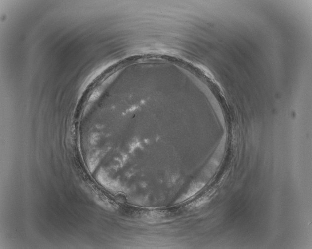 X0000081570879200701291212