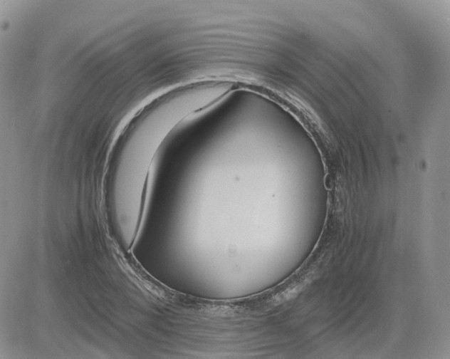 X0000081570880200701291212