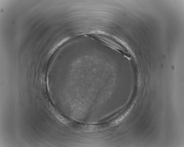 X0000081570881200701291212