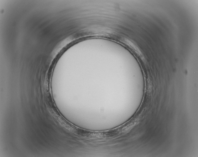 X0000081570883200701291212