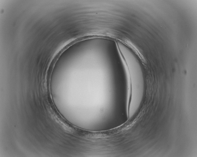 X0000081570884200701291212