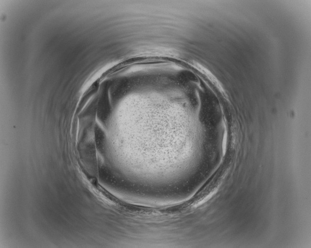 X0000081570885200701291212