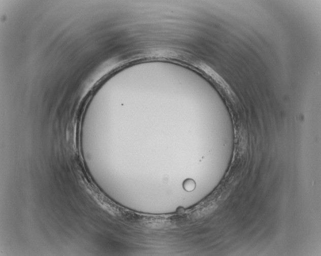 X0000081570886200701291212