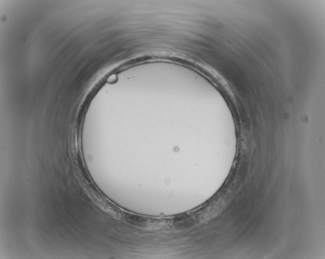 X0000081570887200701291212