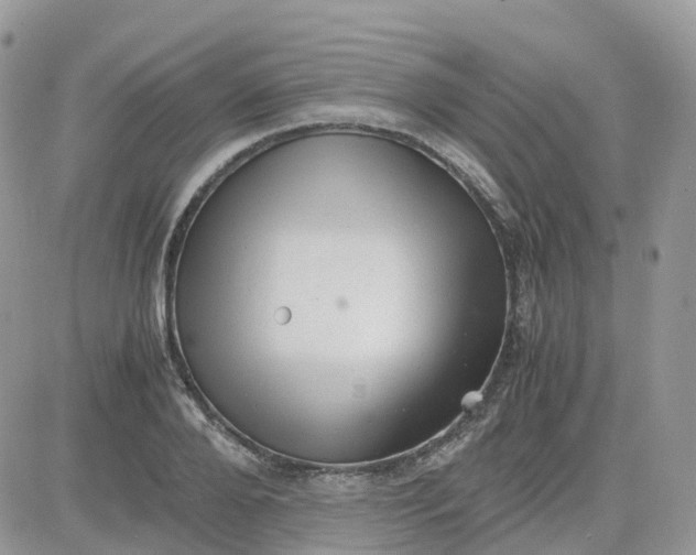 X0000081570888200701291212