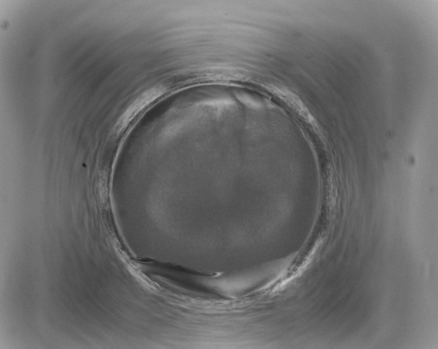 X0000081570889200701291212