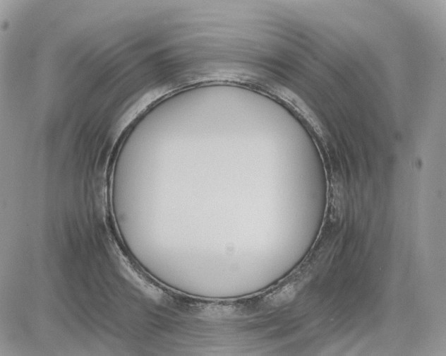 X0000081570890200701291212