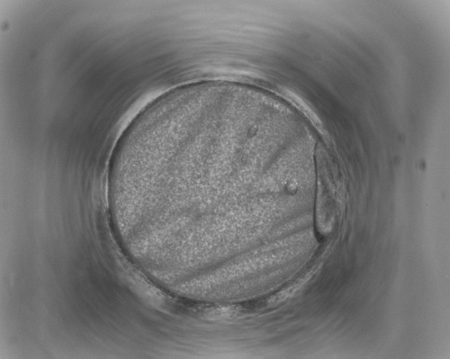 X0000081570891200701291212