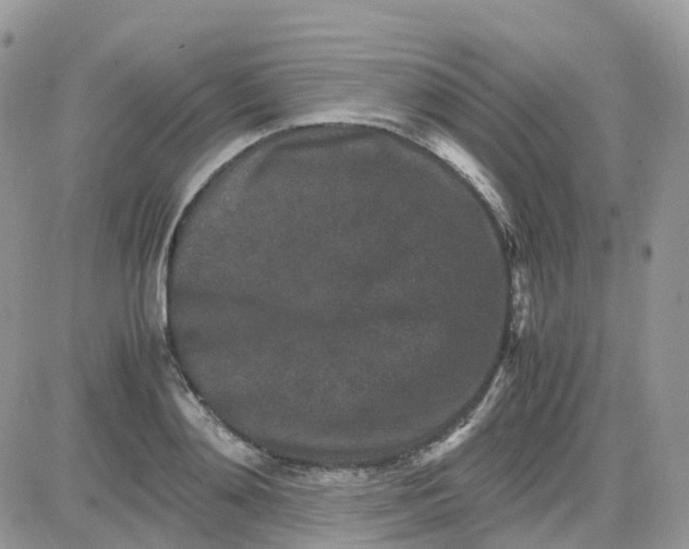 X0000081570892200701291212