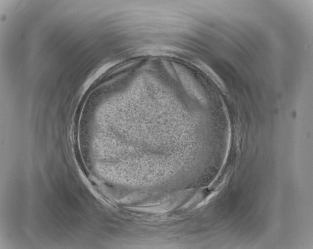 X0000081570893200701291212