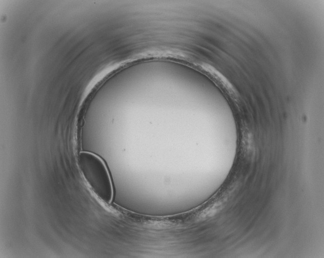 X0000081570894200701291212