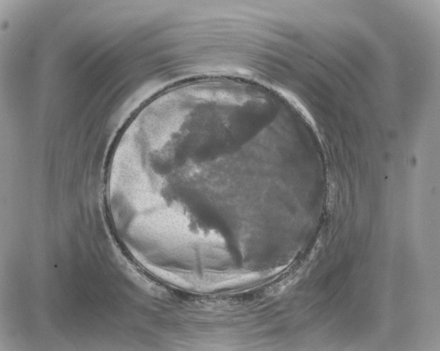 X0000081570895200701291212