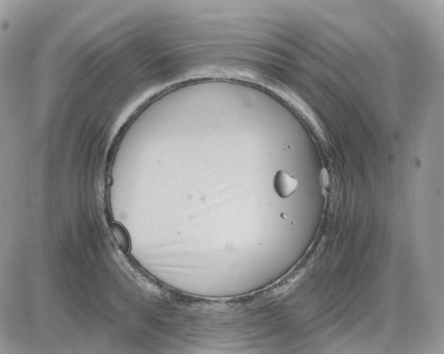 X0000081570896200701291212