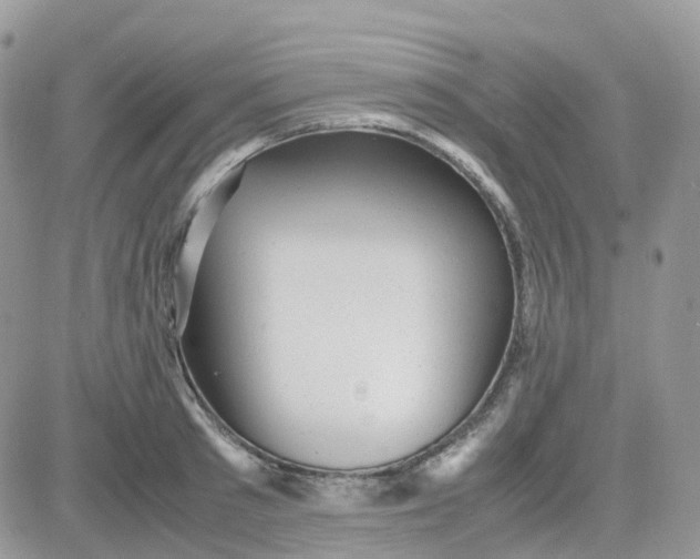 X0000081570897200701291212