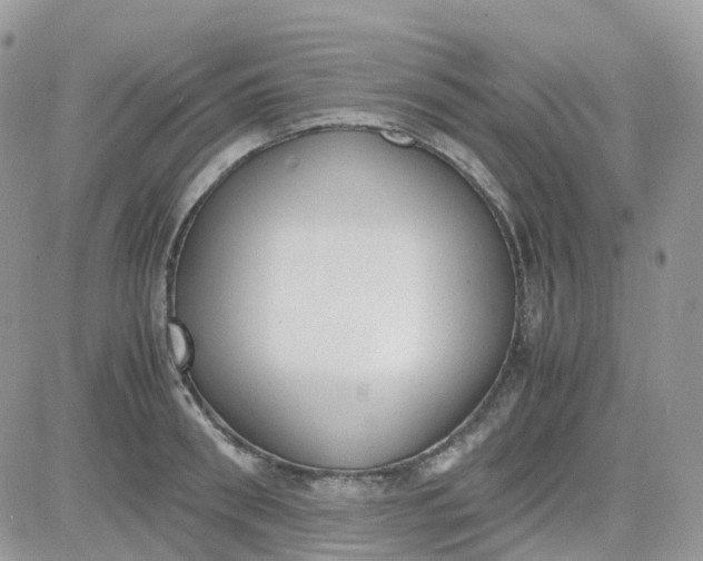 X0000081570898200701291212