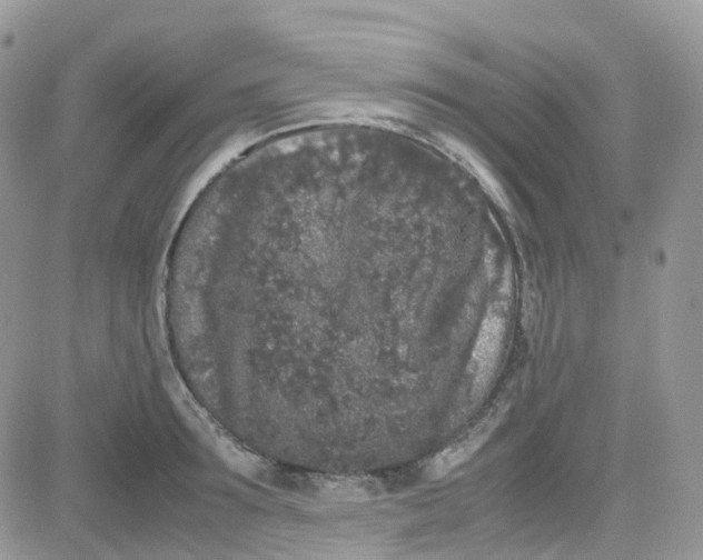 X0000081570899200701291212