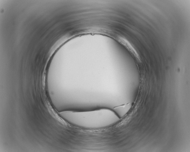 X0000081570900200701291212