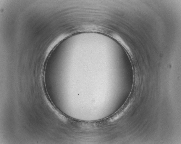 X0000081570901200701291212