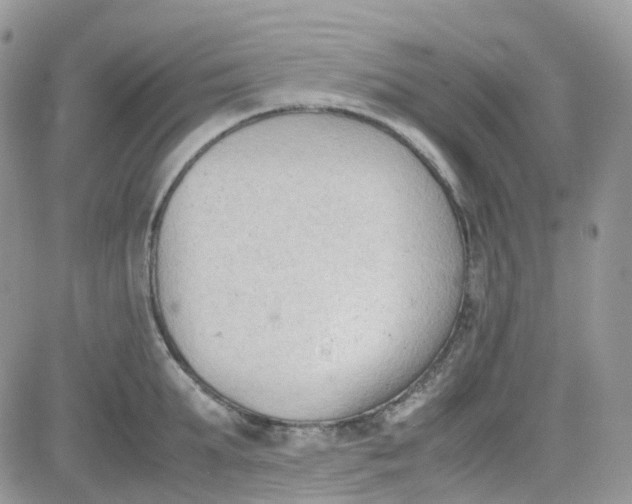 X0000081570903200701291212