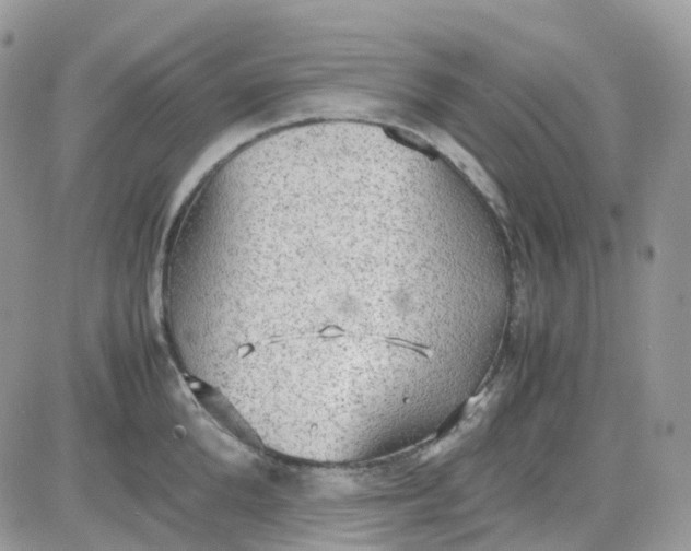 X0000081570904200701291212