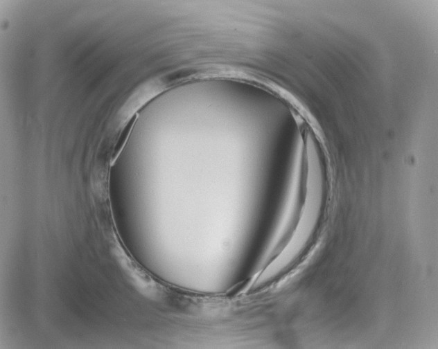 X0000081570905200701291212