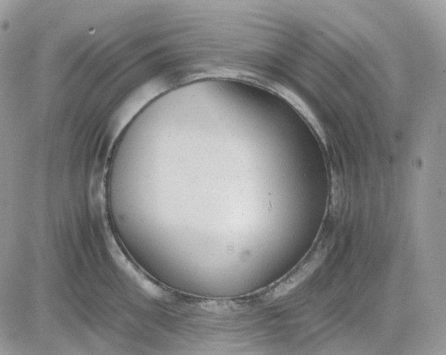 X0000081570906200701291212