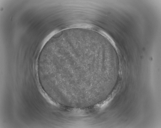 X0000081570907200701291212