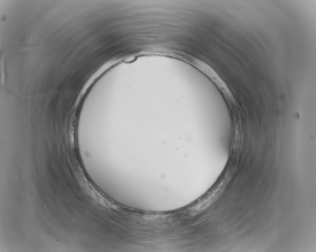 X0000081570908200701291212