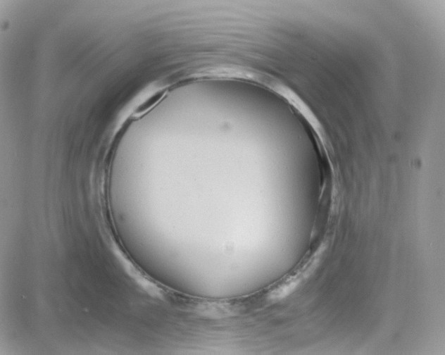 X0000081570909200701291212