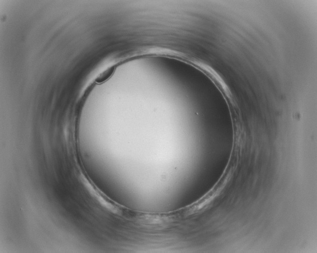 X0000081570910200701291212