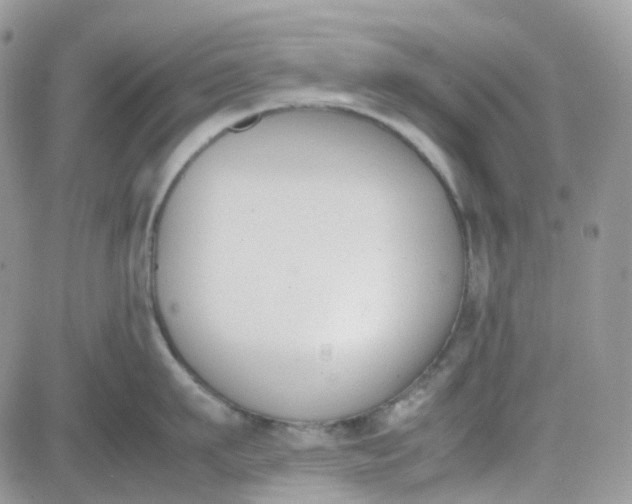 X0000081570911200701291212