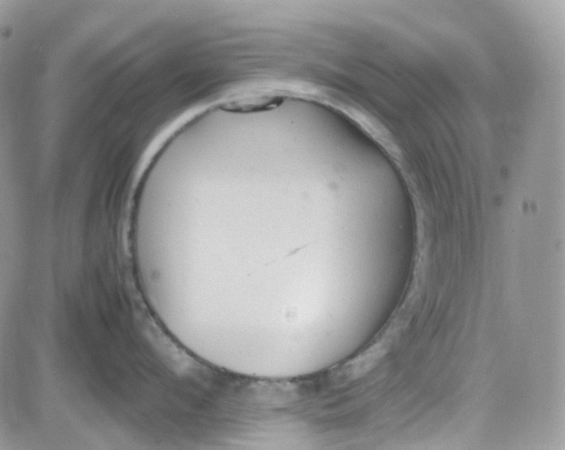 X0000081570912200701291212