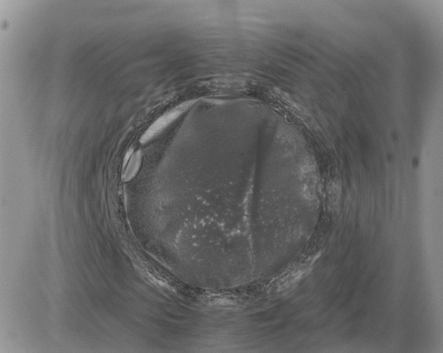 X0000081570913200701291211