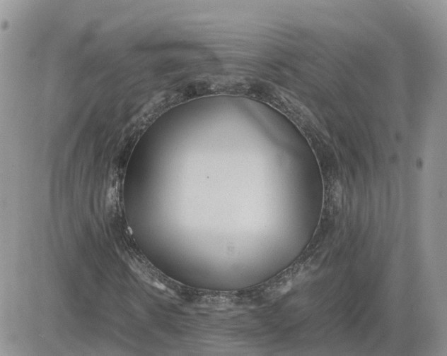 X0000081570914200701291211