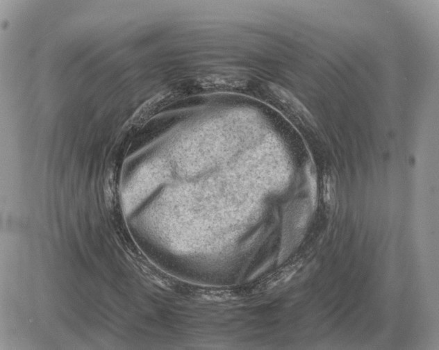 X0000081570915200701291211