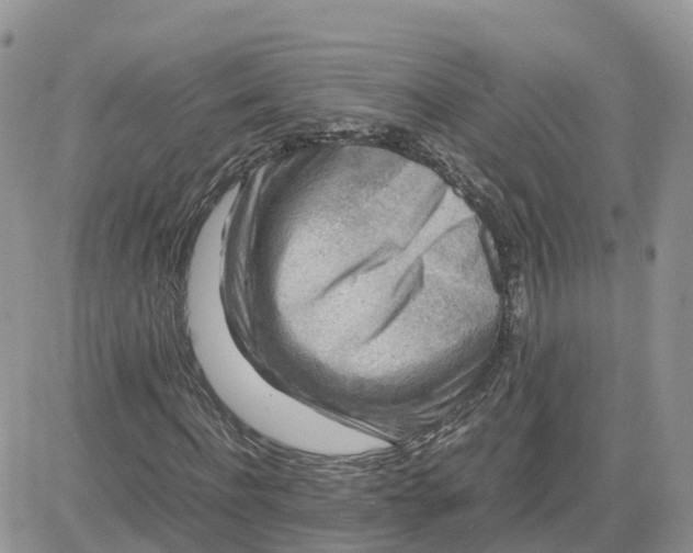 X0000081570916200701291211