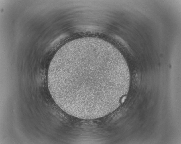 X0000081570918200701291211