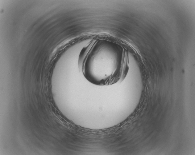 X0000081570920200701291211