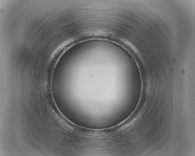 X0000081570922200701291211