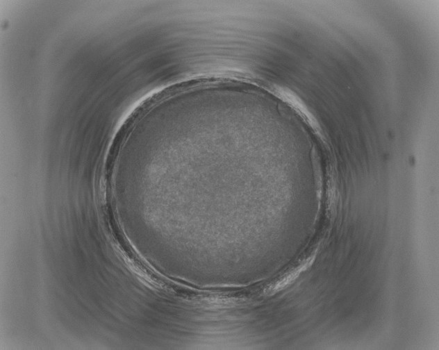 X0000081570924200701291211