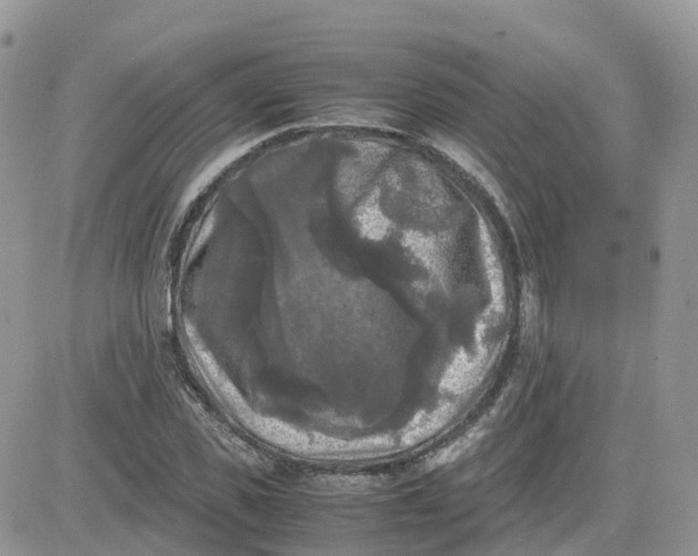 X0000081570925200701291211