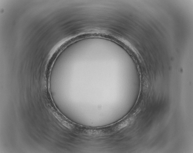 X0000081570927200701291211