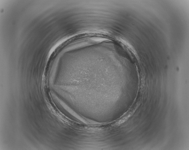 X0000081570928200701291211