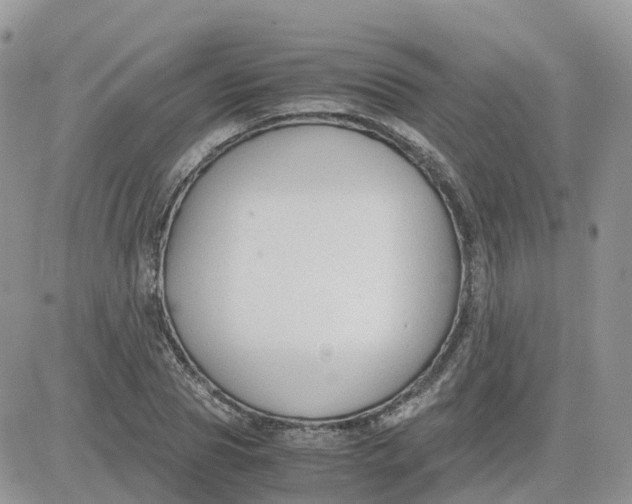 X0000081570929200701291211