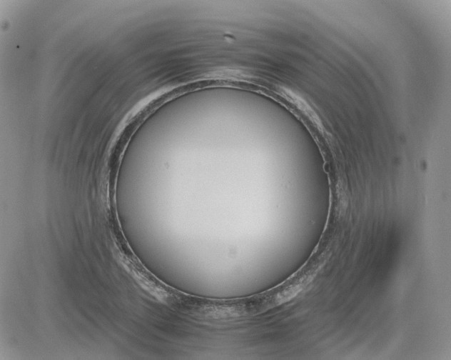 X0000081570931200701291211